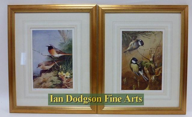 Black Redstart & Coal & Great Tit by Archibald Thorburn