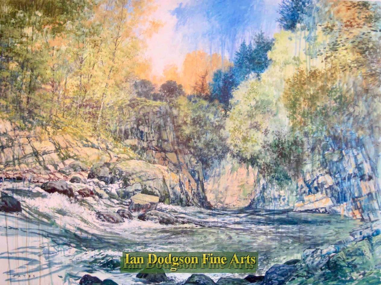 Downstream, Afon Machno by Jeremy Yates
