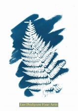 Cyan Fern by Gill Hughes