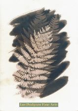 Fern No1 by Gill Hughes
