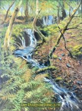 Outflow from Llyn Crafnant by Phil Jackson